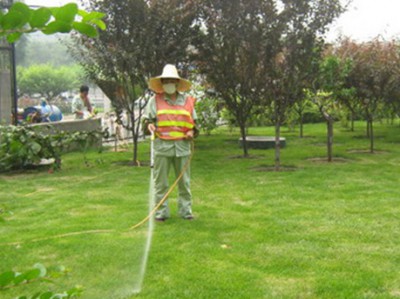 草坪綠化服務
